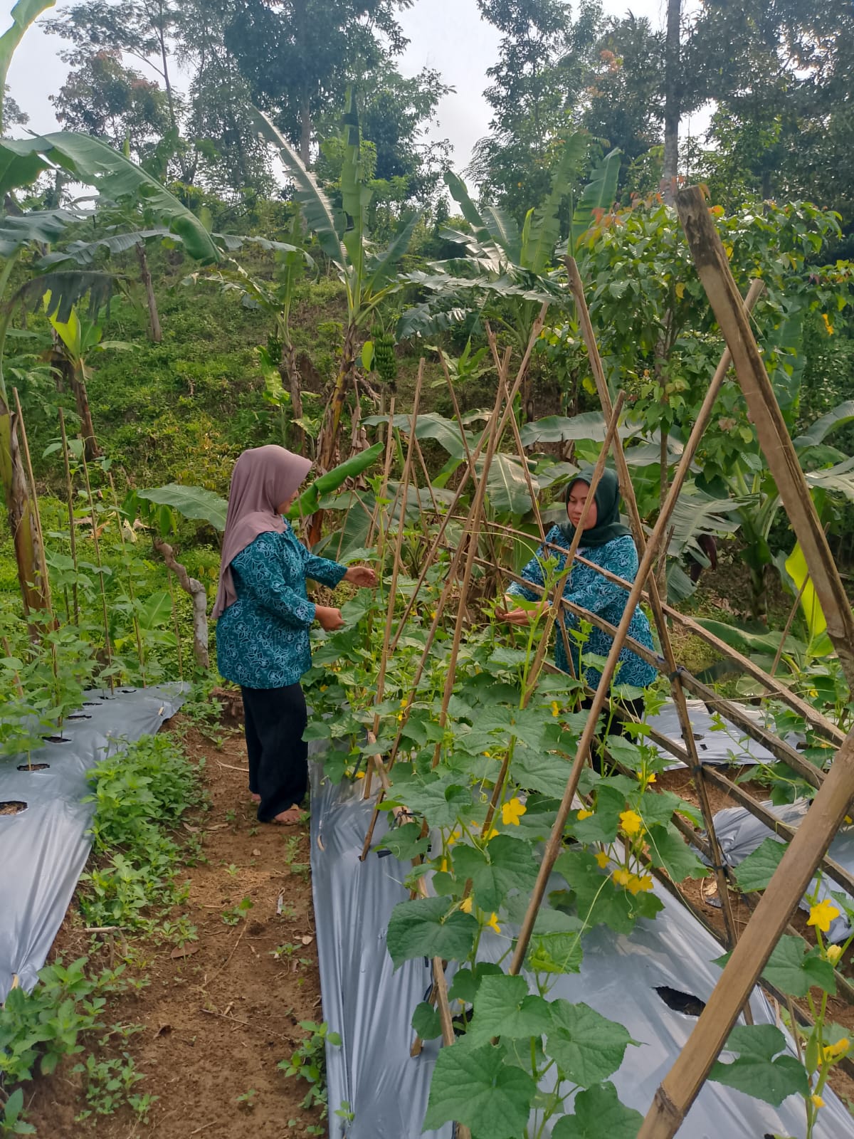 WhatsApp Image 2025-10-24 at 13.21.05 (1)