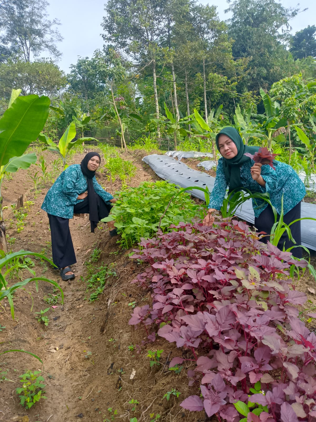 WhatsApp Image 2025-10-24 at 13.21.07