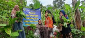 WhatsApp Image 2025-12-15 at 09.08.23